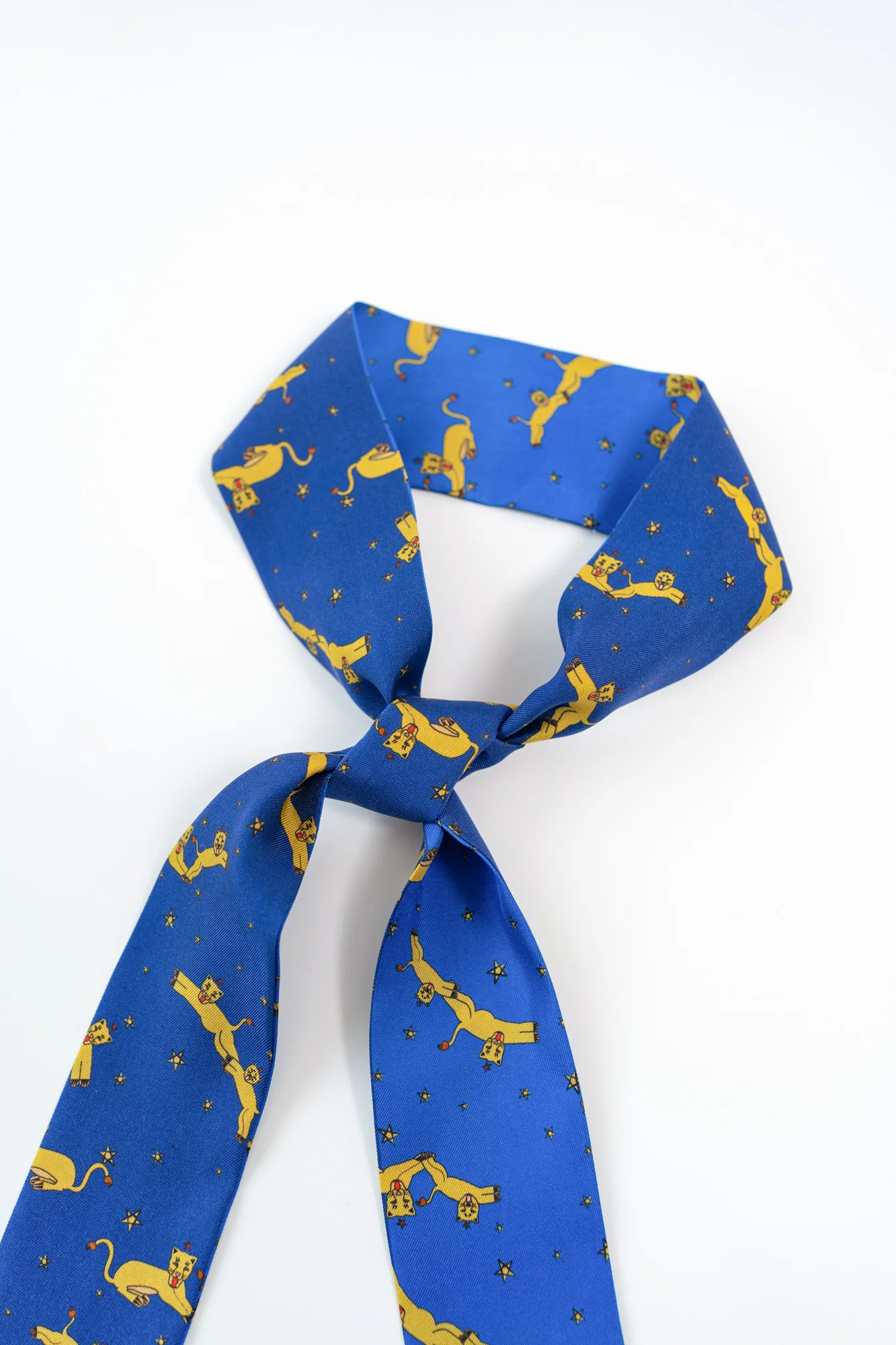 "Journey" Silk Twill Skinny Scarf by SHANTALL LACAYO - Image 6