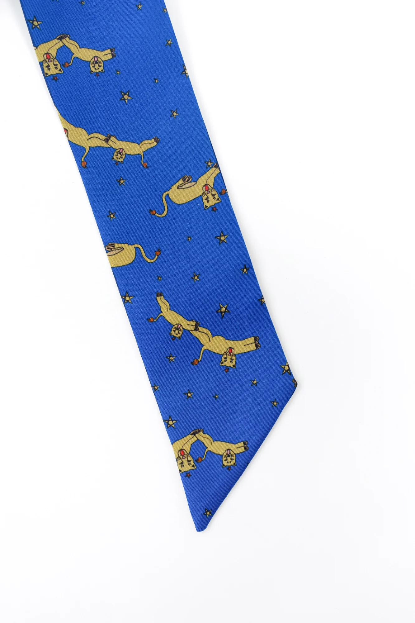 "Journey" Silk Twill Skinny Scarf by SHANTALL LACAYO - Image 9